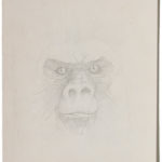 Koko